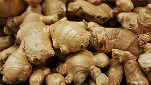 Ingwer: Zingiber Officinale/Zingiberis Rhizoma ingwerwurzeln