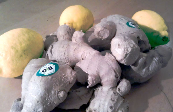 guter Bio-Ingwer und Zitronen