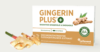 Gingerin Plus